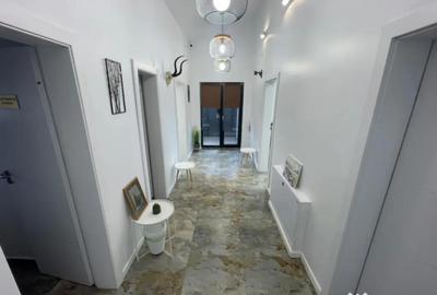 Spațiu comercial, de 66 mp, în Brazda lui Novac - 14