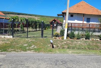 Vind casa Sat Balanesti,Gorj - 1