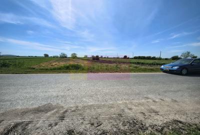 Teren Construcții intravilan de 4770 mp, în Dărăști-Ilfov - 12