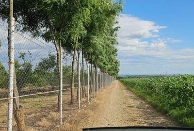 Teren de 140000 mp, în Bucov - 2