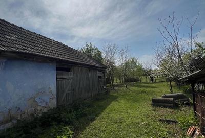 Casă cu Teren 2191 Mp în Cheșa - 4