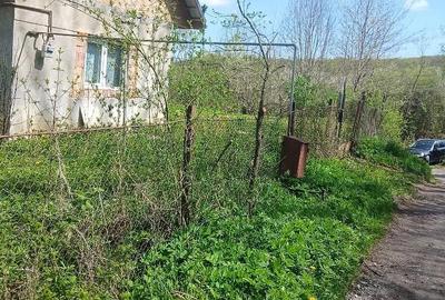 Casă cu Teren 8000 Mp în Mădăraș - 2