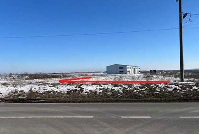 Spațiu comercial, în Dascălu - 6