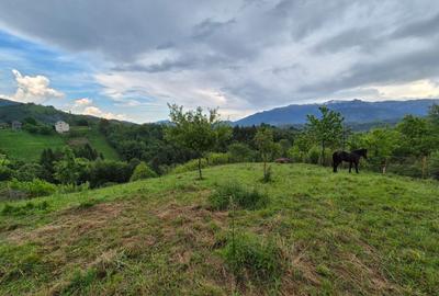 Comision 0%, TEREN INTRAVILAN SAT PESTERA BRASOV Comision 0%, TEREN INTRAVILAN SAT PESTERA BRASOV - 6