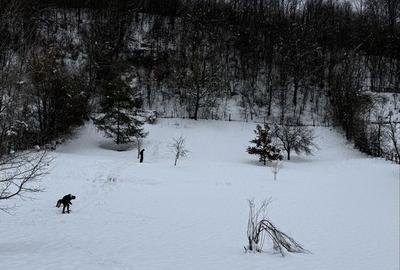 Casă cu 4 camere în Voia - 3
