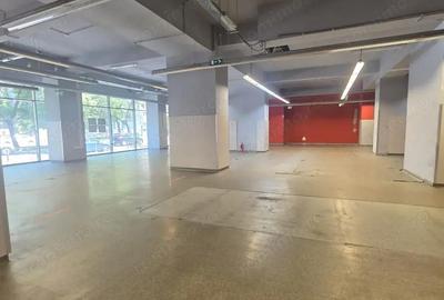 Spațiu comercial, de 638 mp, în Victoriei - 6