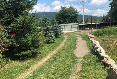 Casă cu 3 camere cu Teren 2000 Mp în Vad - 4