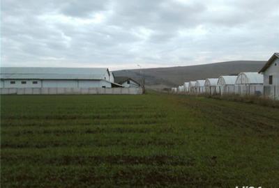 Teren de 16950 mp, în Blaj - 5