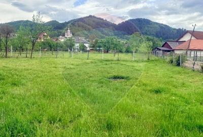 Casă individuală cu 2 camere cu Teren 1304 Mp în Rozavlea - 8