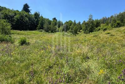 Teren intravilan 4600mp - 55 EUR/mp - EXCLUSIVITATE CISNADIOARA - COMISION 0% - 12