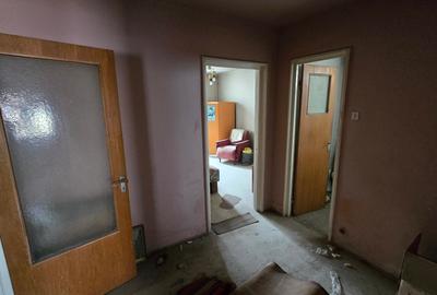 Teiul Doamnei, Mașina de Pâine, Obor, Teiul Doamnei, Mașina de Pâine, Obor, - 9