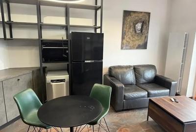 Doua camere mobilat/utilat stil industrial cu terasa zona Parc Carol - 14