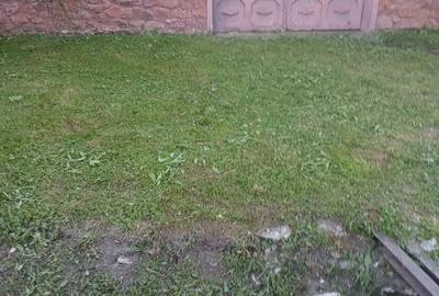 Casă cu 4 camere în Căprioara - 3