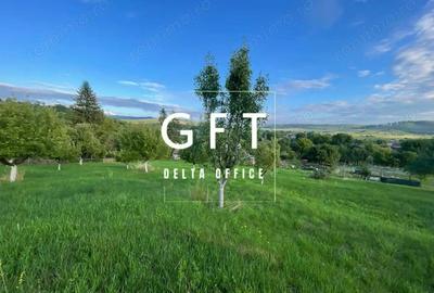 Teren de 2900 mp, în Dorolea - 10