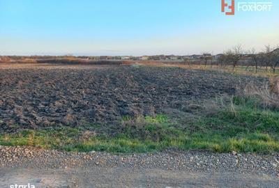 Spațiu comercial, în Ghiroda - 2