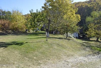 Topoloveni - Conacul Ion Mihalache, Domeniu pe 5 Hectare - 47