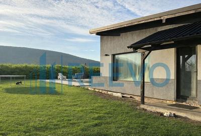 Casă cu 5 camere cu Teren 1300 Mp în Hemeiuș