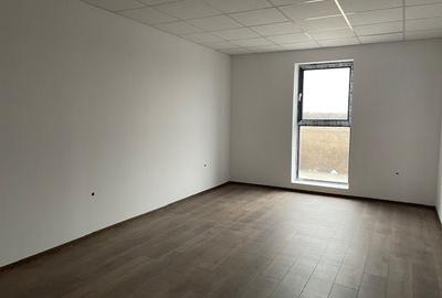 Spatiu depozitare si productie Soseaua de centrua Chitila - 12