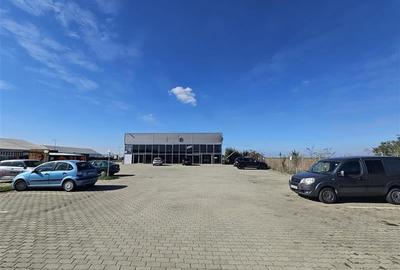 Showroom, service, magazin desfacere, birouri - Aeroport Oradea - 2