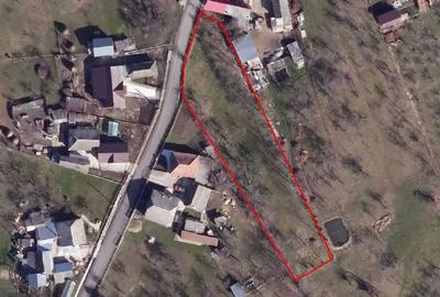 Teren de 2016 mp, în Costești - 4