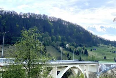 Teren panoramic insorit, utilitati, panta mica si padure, turism sau vacanta - 12