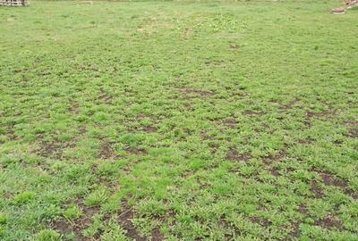 Teren de 3000 mp, în Călărași - 1