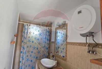 Casa la gri P+M cu anexa - oportunitate unica in Chisineu-Cris! - 3