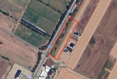 Teren de 5000 mp, în Vidra - 1