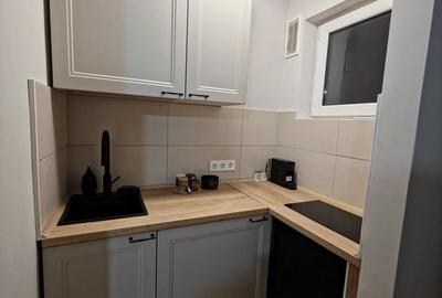 Cabinet Bucuresti pentru inchiriere Pia?a Alba Iulia (ultracentral) - 4