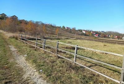 Teren de 735 mp, în Săucești - 7