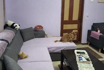 Casă cu 3 camere cu Teren 2155 Mp în Traian - 2
