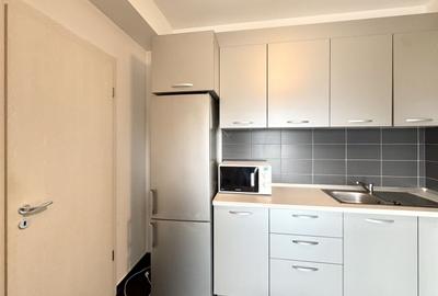 Apartament cu 2 camere semidecomandat, mobilat în Lipovei - 12