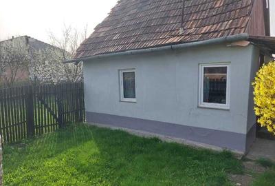 Casă cu 2 camere în Iclod - 7