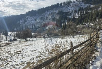 Teren Construcții intravilan de 3486 mp, în Iacobeni - 5