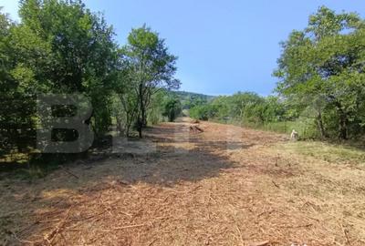 Casă cu 2 camere cu Teren 3350 Mp în Central - 10