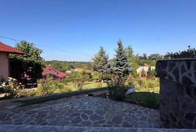 Casă individuală cu 5 camere cu Teren 1800 Mp în Măgura - 36