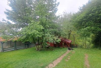Casă cu 4 camere în Vârfuri - 1