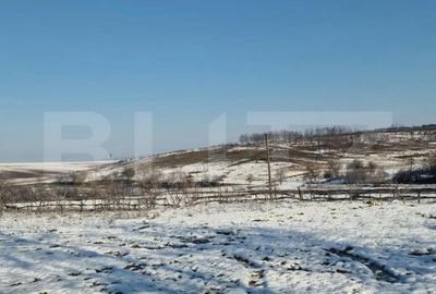 Teren de 79000 mp, în Central - 7