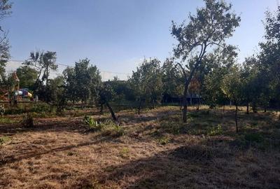 Casa de vanzare cu teren intravilan in Beregsaul Mic, jude?ul Timi? - 5