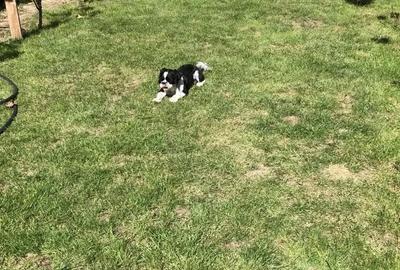 Casă cu 5 camere cu Teren 357 Mp în Central - 5