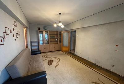 2 Camere Campia Libertatii Pet friendly - 2