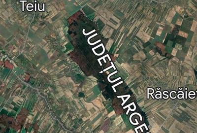 Teren  intravilan Industrial  12 Hectare - 4