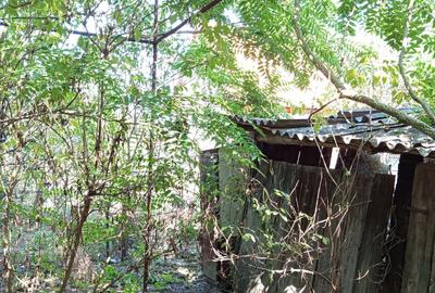 Iam, Casa 5 Camere, Gospodarie, 1439mp Teren, Pret Negociabi - 2