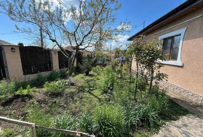 Casă cu Teren 650 Mp în Traian - 2