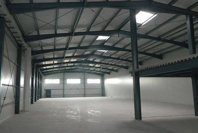 Hala noua productie / depozitare ,1000 mp , zona Aradului - 3