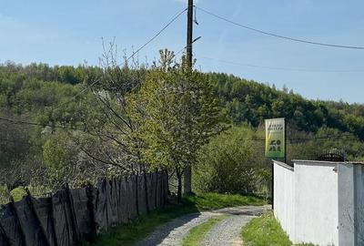 Teren de 1263 mp, în Racovița - 4