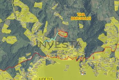 Teren Construcții intravilan de 12588 mp, în Tiha Bârgăului - 6