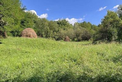 Teren de 4300 mp, în Breaza - 18