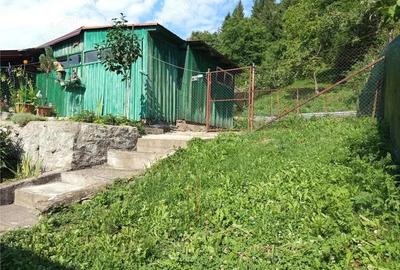 Anina, Casa, 4 Camere, P+M, 160MP Teren, Pret Negociabil Anina, Casa, 4 Camere, P+M, 160MP Teren, Pret Negociabil - 7