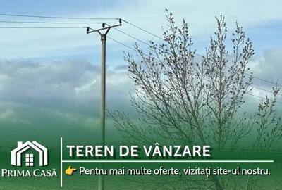 Teren de 20000 mp, în Est - 1